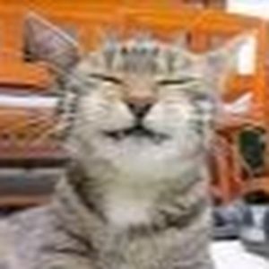 Meet your Posher, Eden